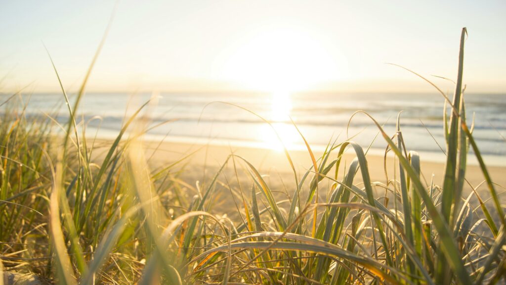 credit photo mastercowley-pexels credit photo mastercowley-pexels